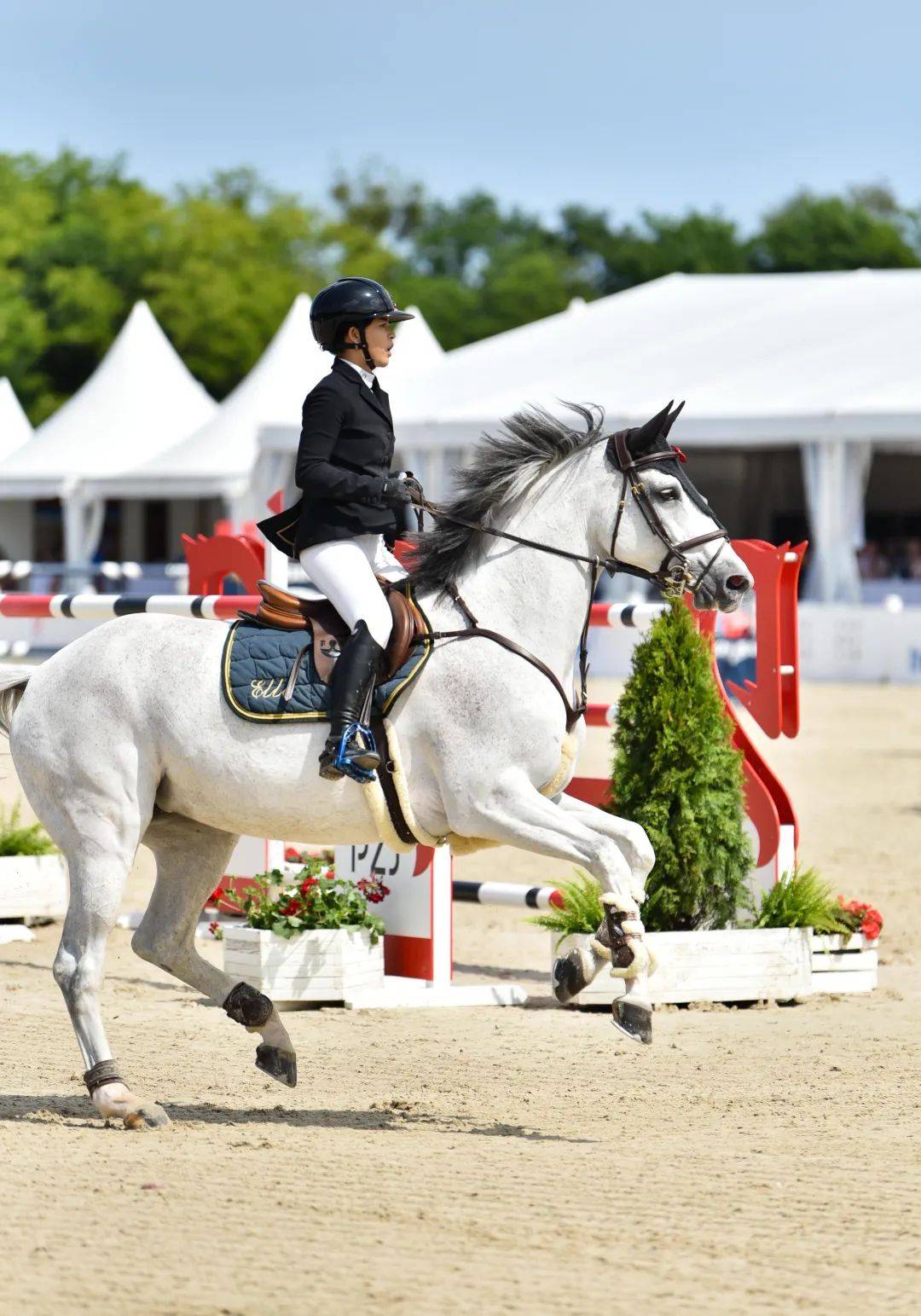 关于米兰体育:国际马术赛事的精彩瞬间，骑手与马的默契合作的信息