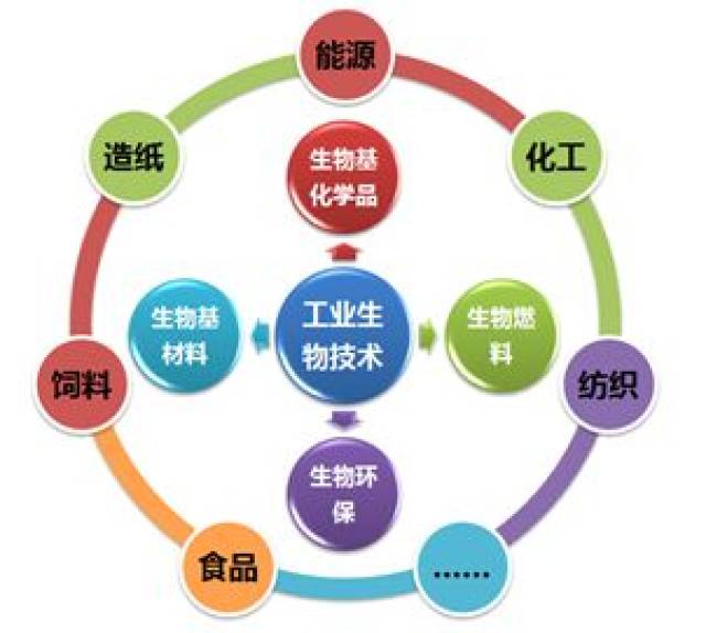 关于米兰体育:CBA选秀潜力股深度剖析:技术特点与发展前景的信息 关于米兰体育:CBA选秀潜力股深度剖析:技术特点与发展前景的信息