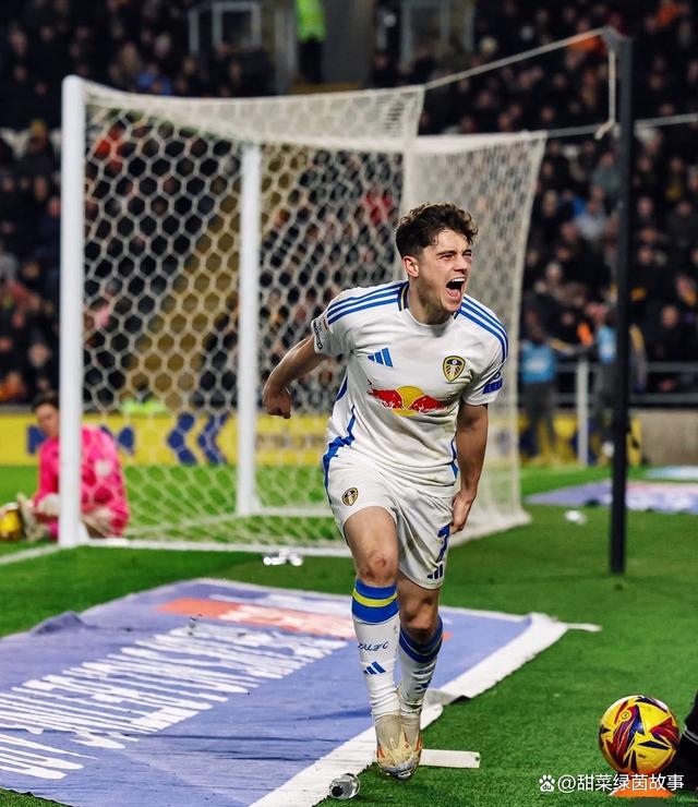 米兰体育：英超利兹联的战术革新与赛季目标的简单介绍