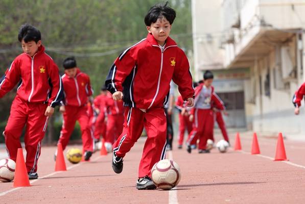 关于米兰体育：青少年体育的发展：关注未来运动人才的培养的信息