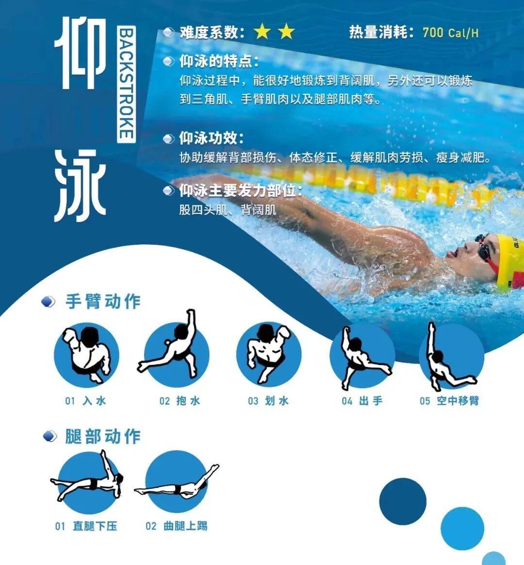 米兰体育:游泳的技术与技巧,顶尖选手的训练秘诀的简单介绍 米兰体育:游泳的技术与技巧,顶尖选手的训练秘诀的简单介绍