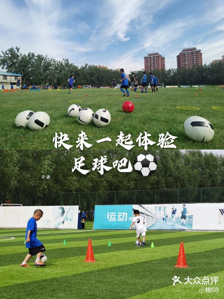 关于米兰体育:中国足球青训基地的可持续运营模式研究的信息